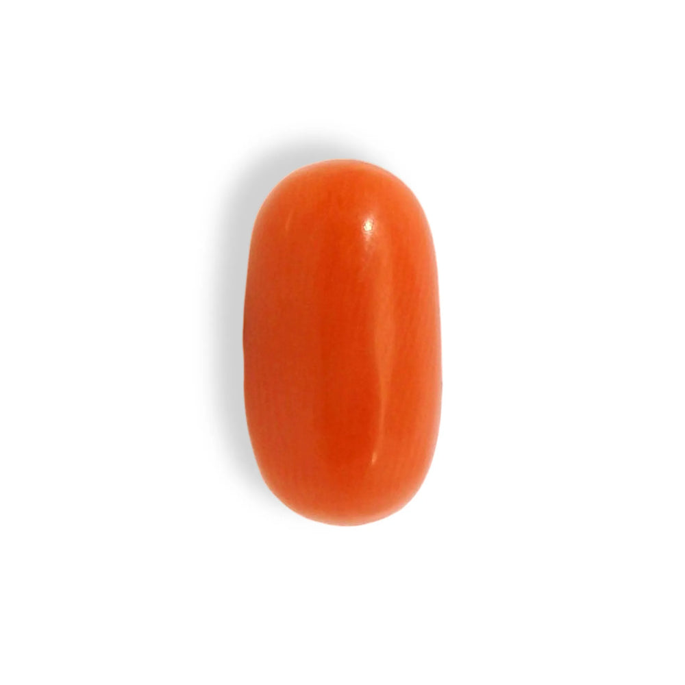 ITLGR_121360_TOP.webp