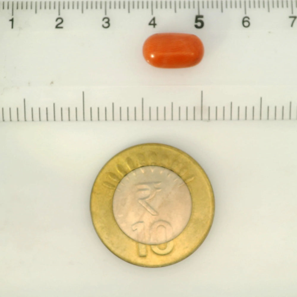 ITLGR_121361_SCALE.webp