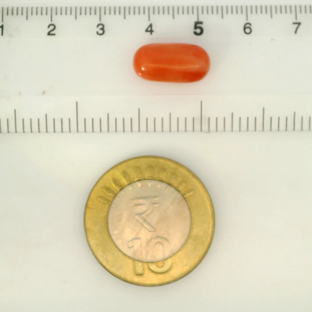 ITLGR_121362_SCALE.webp