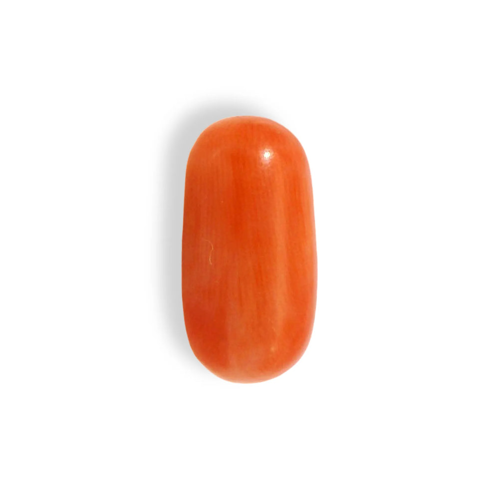 ITLGR_121362_TOP.webp