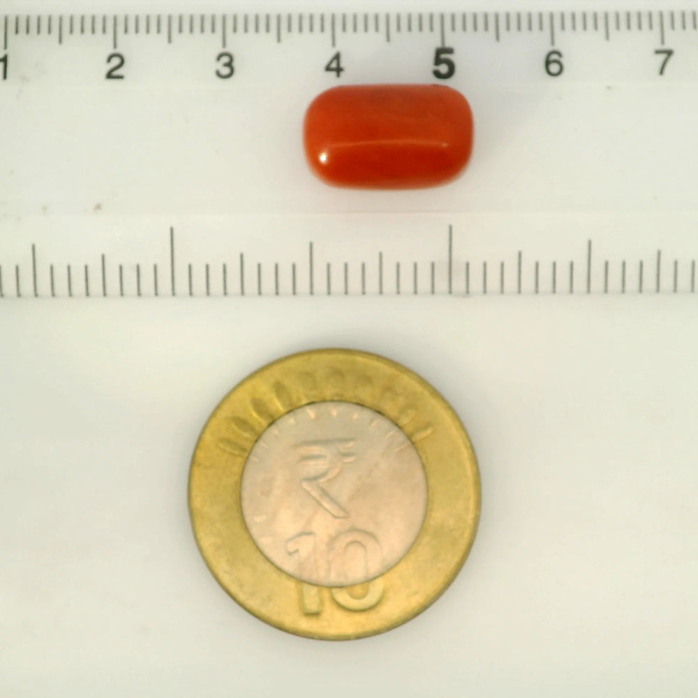 ITLGR_121364_SCALE.webp
