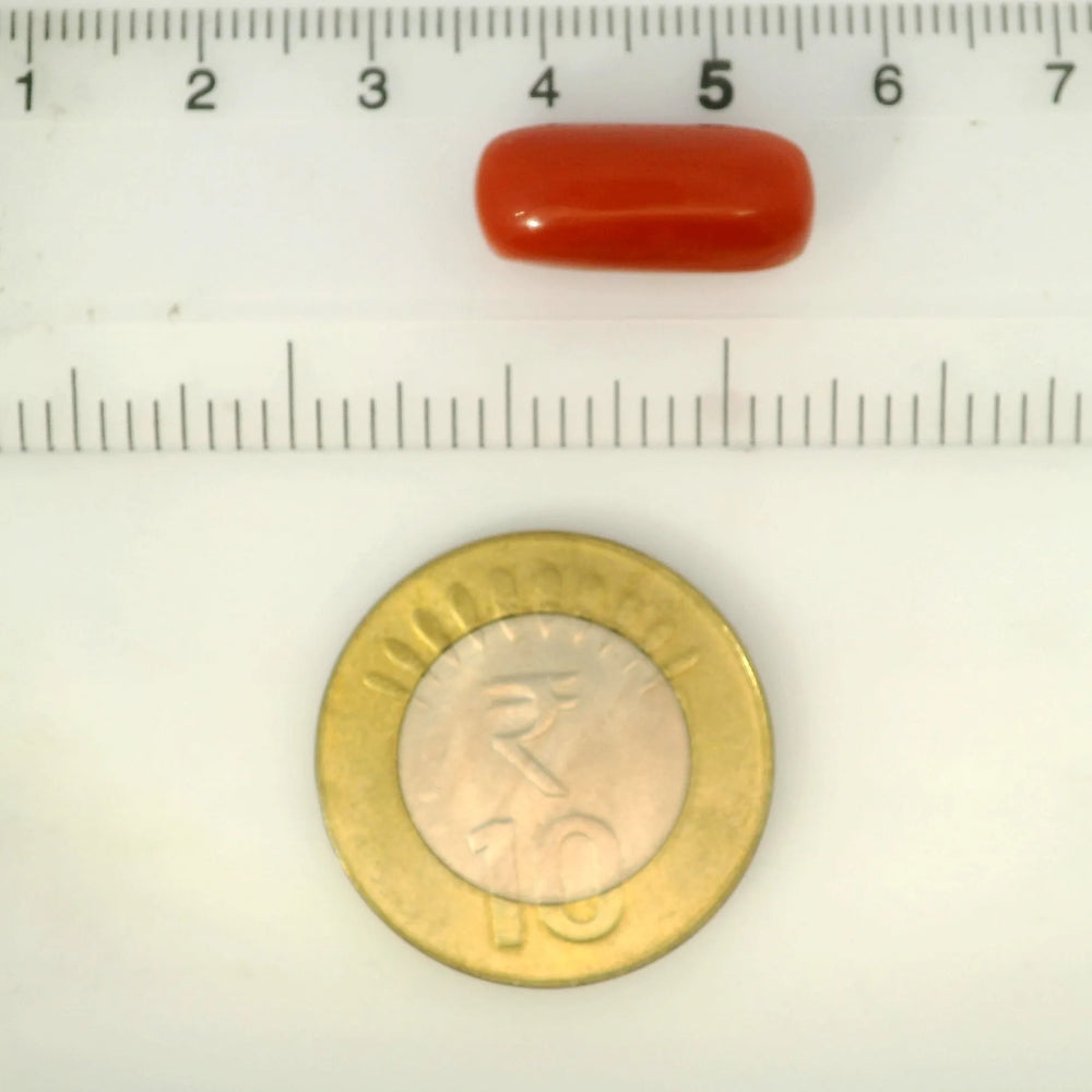 ITLGR_121369_SCALE.webp