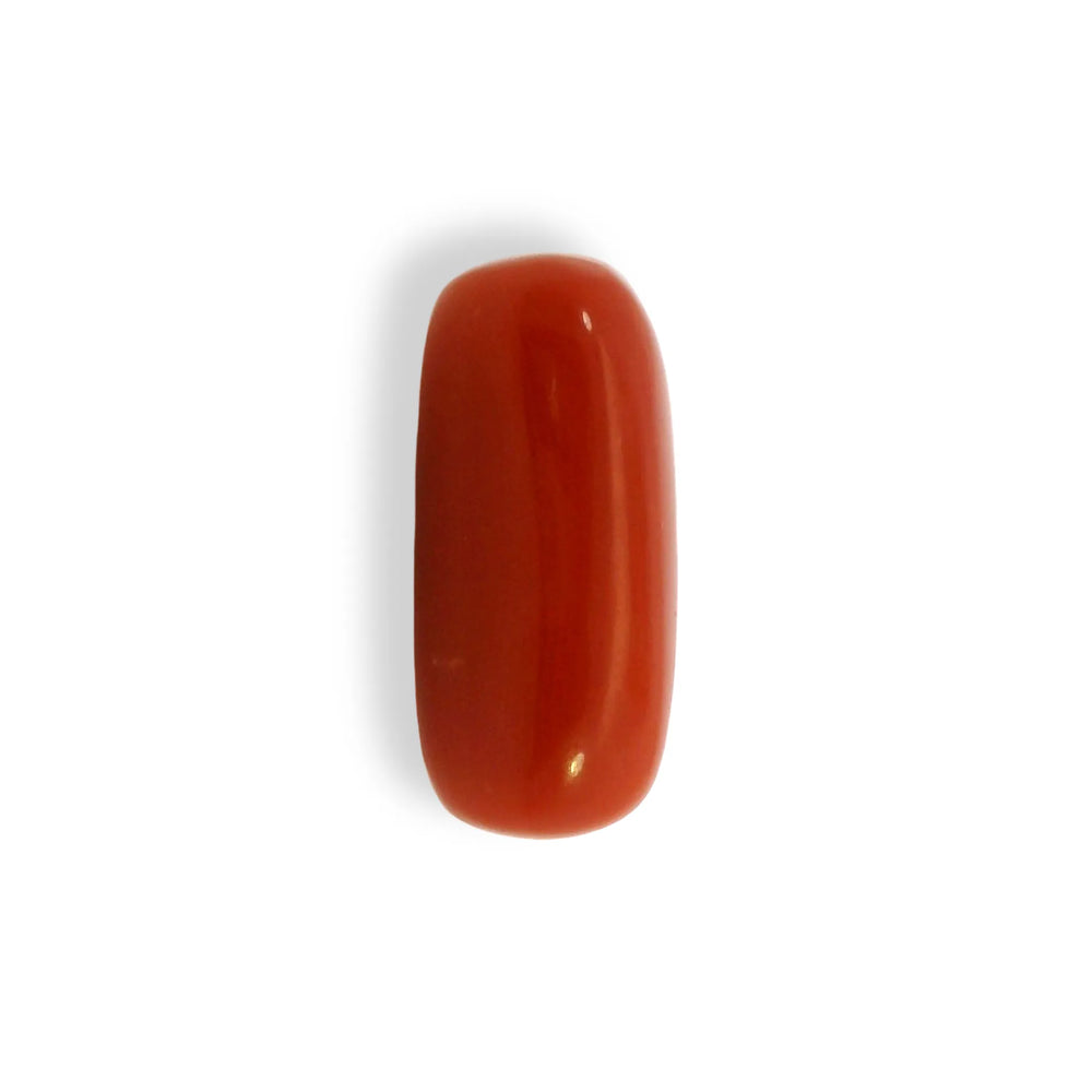 ITLGR_121369_TOP.webp