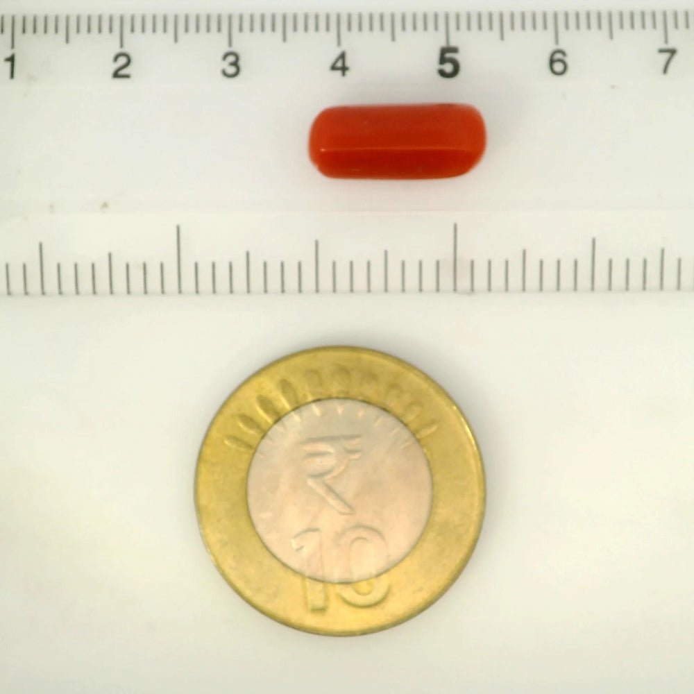 ITLGR_121371_SCALE.webp