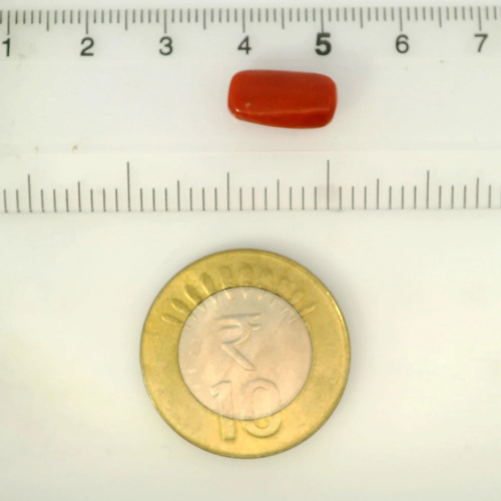 ITLGR_121375_SCALE.webp