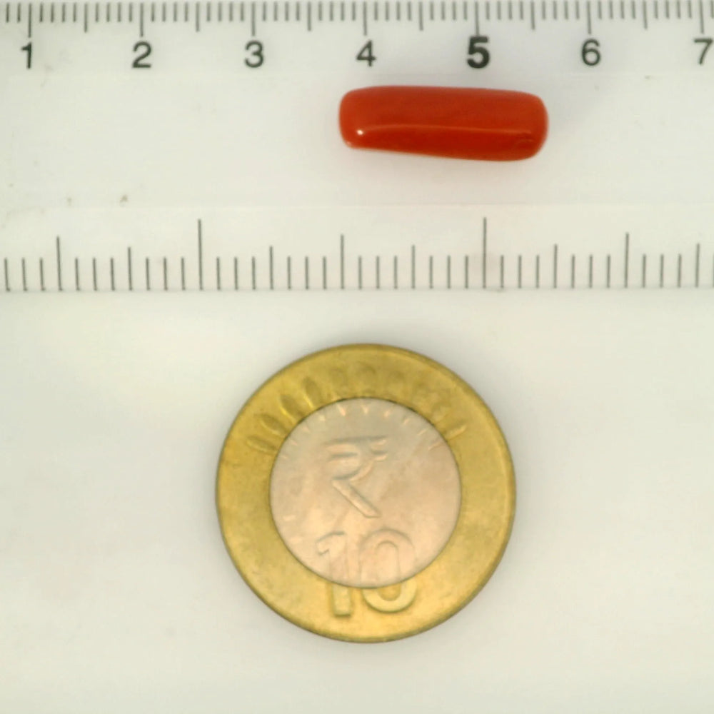 ITLGR_121376_SCALE.webp