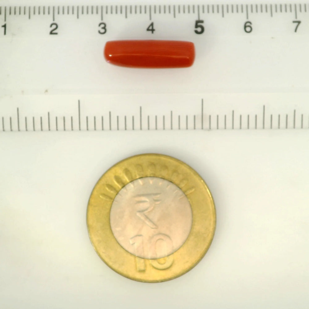 ITLGR_121377_SCALE.webp
