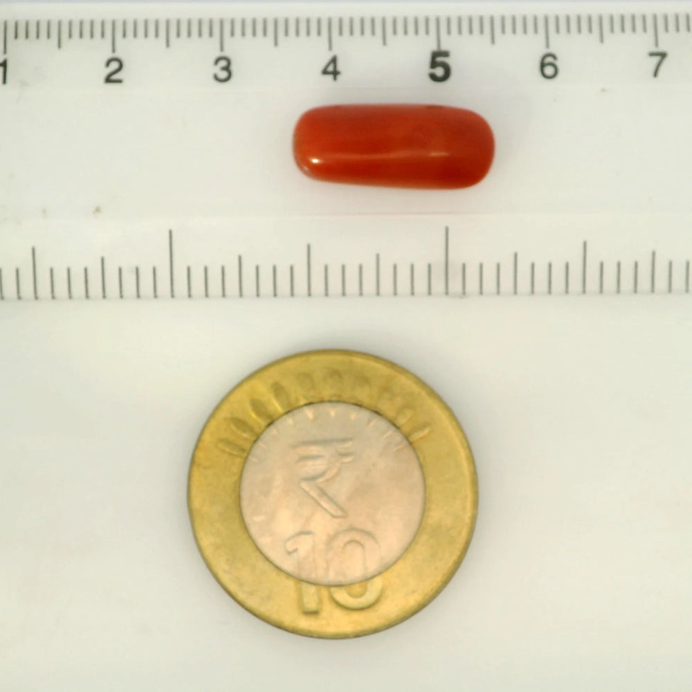 ITLGR_121379_SCALE.webp