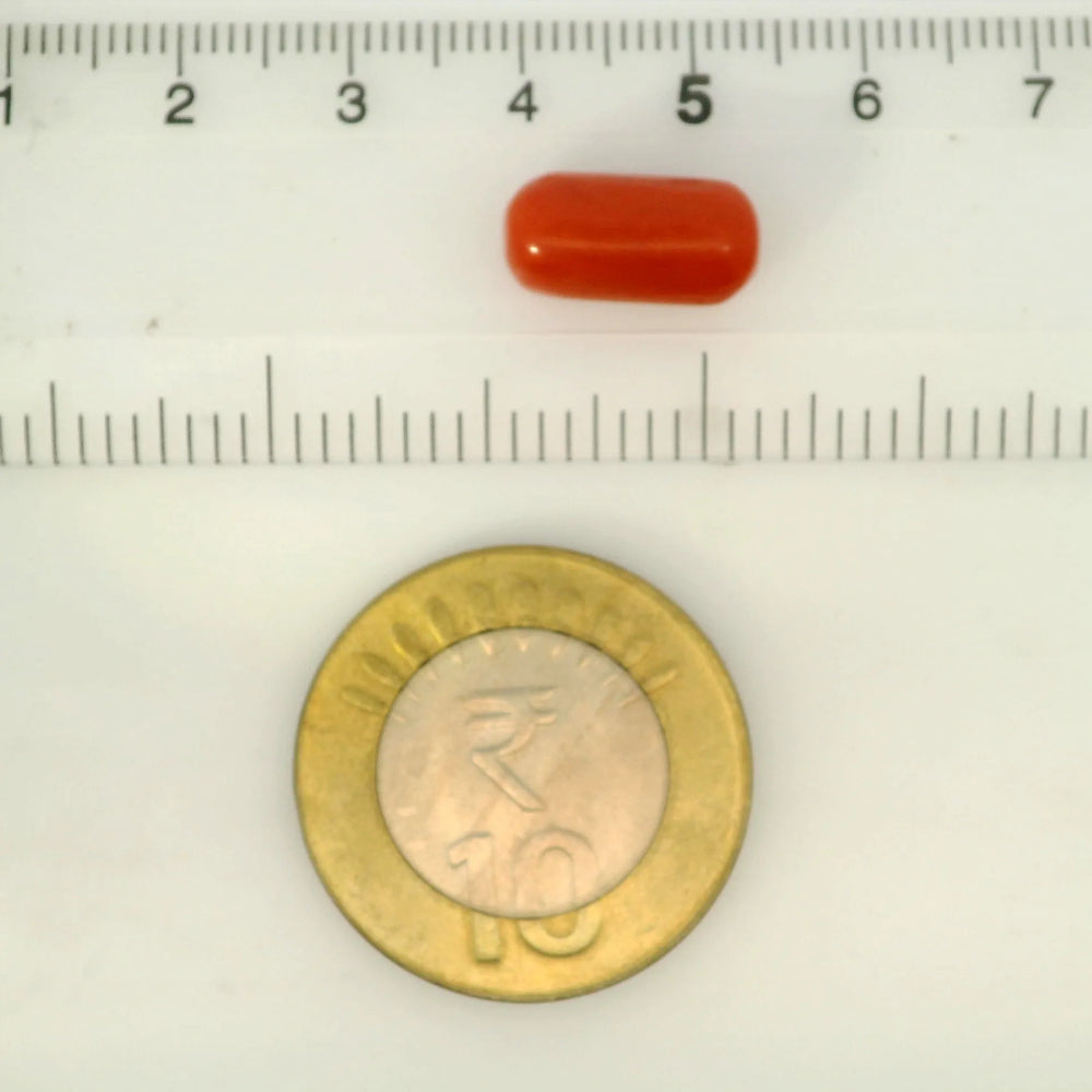 ITLGR_121380_SCALE.webp