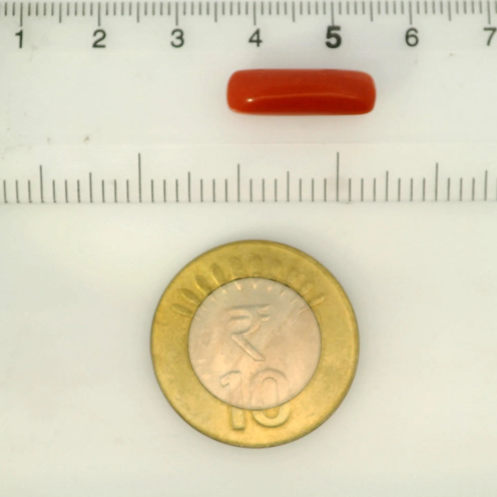 ITLGR_121383_SCALE.webp