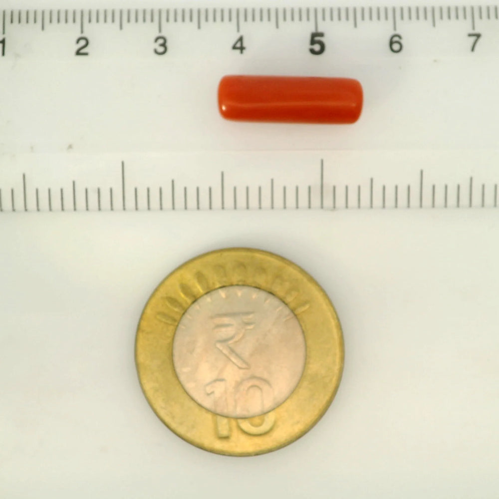 ITLGR_121384_SCALE.webp