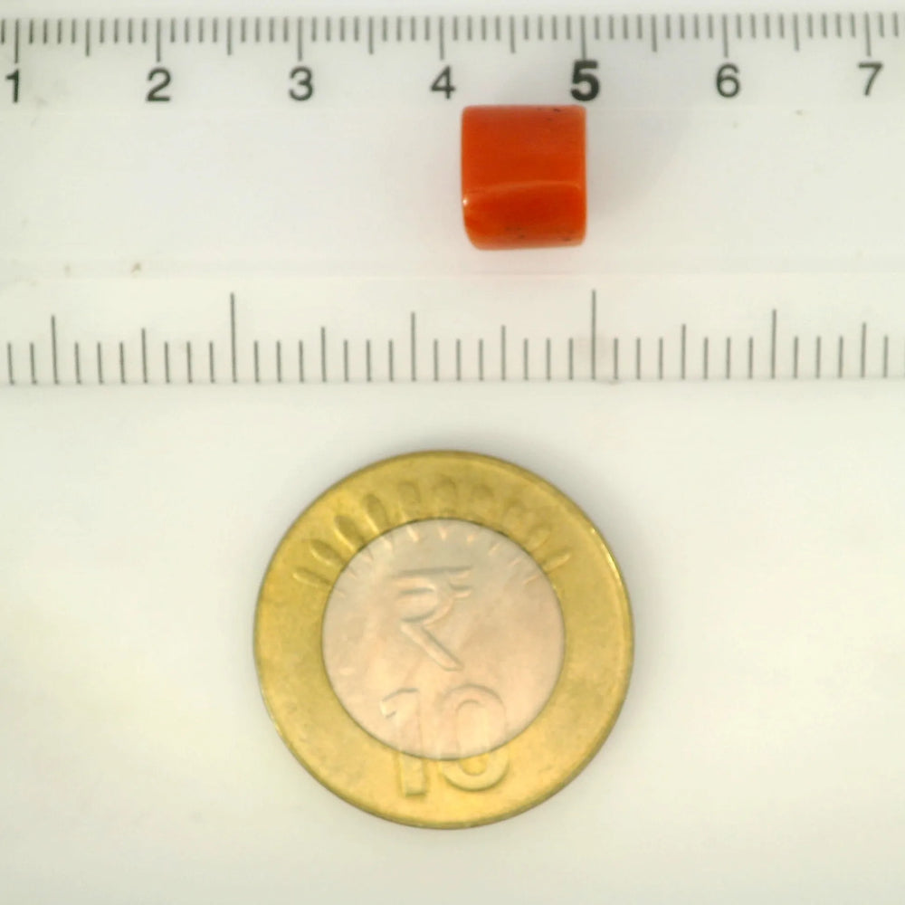 ITLGR_121386_SCALE.webp