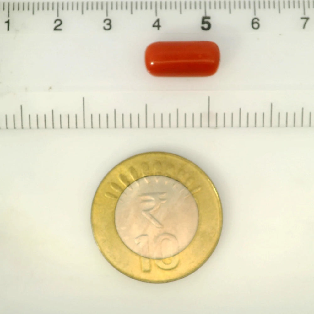 ITLGR_121387_SCALE.webp