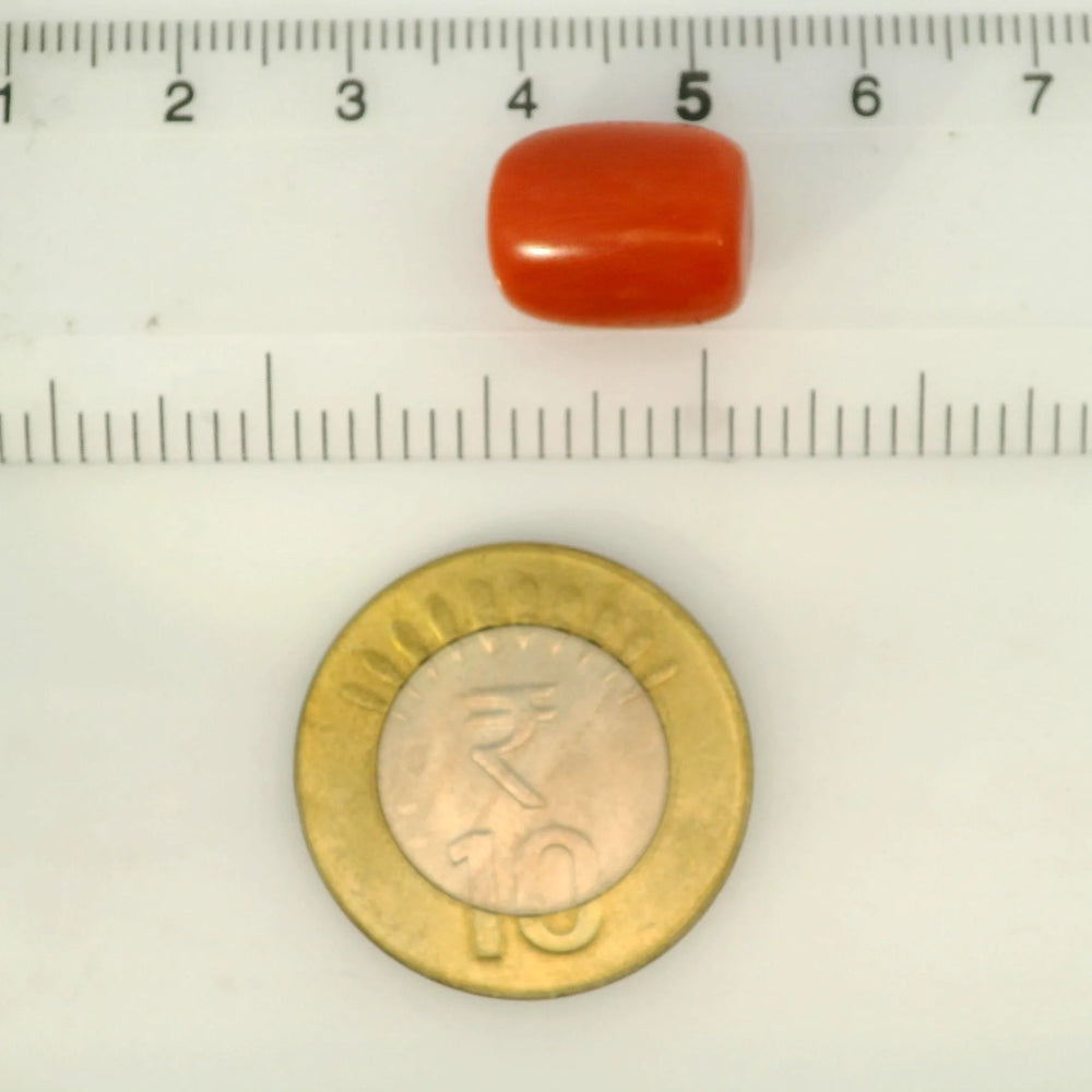 ITLGR_121389_SCALE.webp