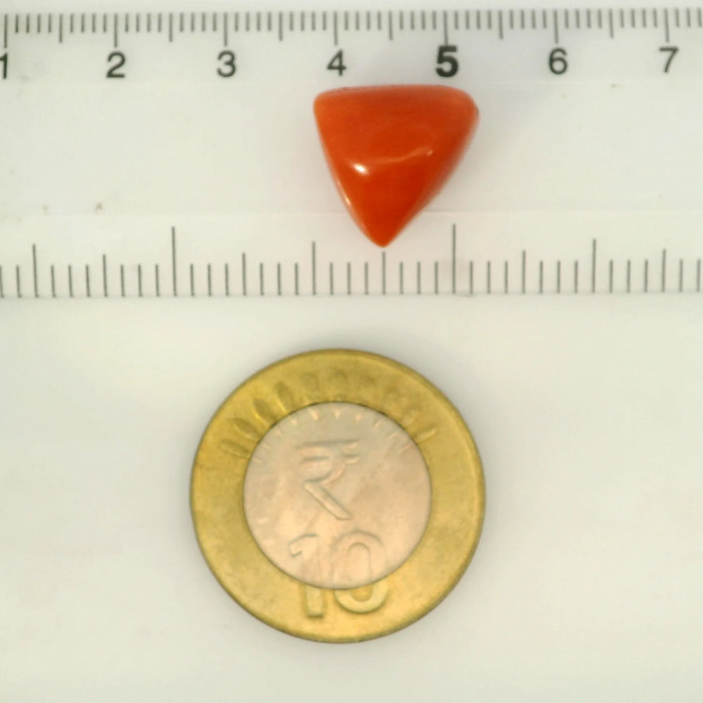 ITLGR_121390_SCALE.webp