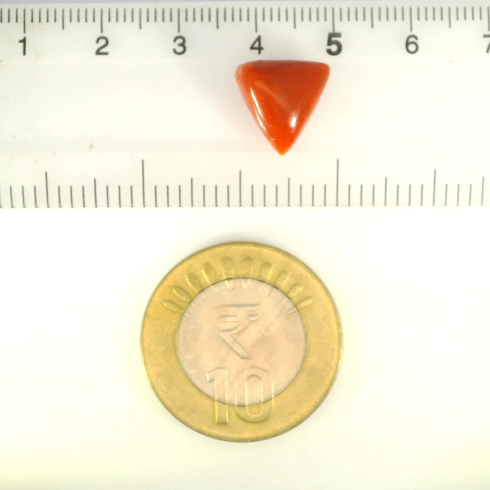 ITLGR_121396_SCALE.webp