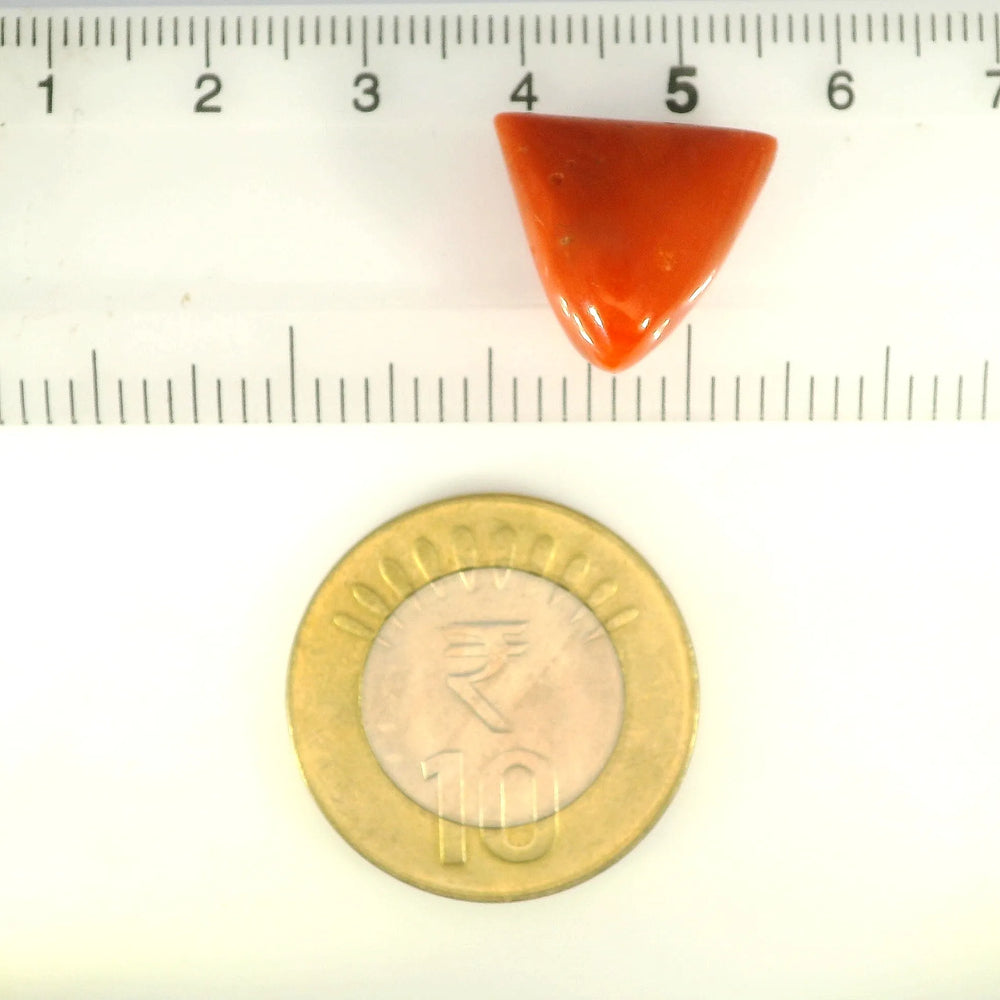 ITLGR_121397_SCALE.webp