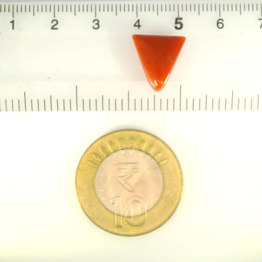 ITLGR_121398_SCALE.webp