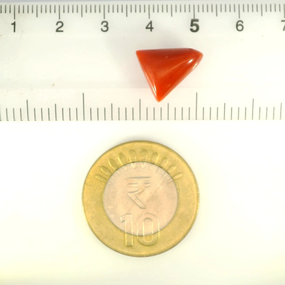 ITLGR_121400_SCALE.webp