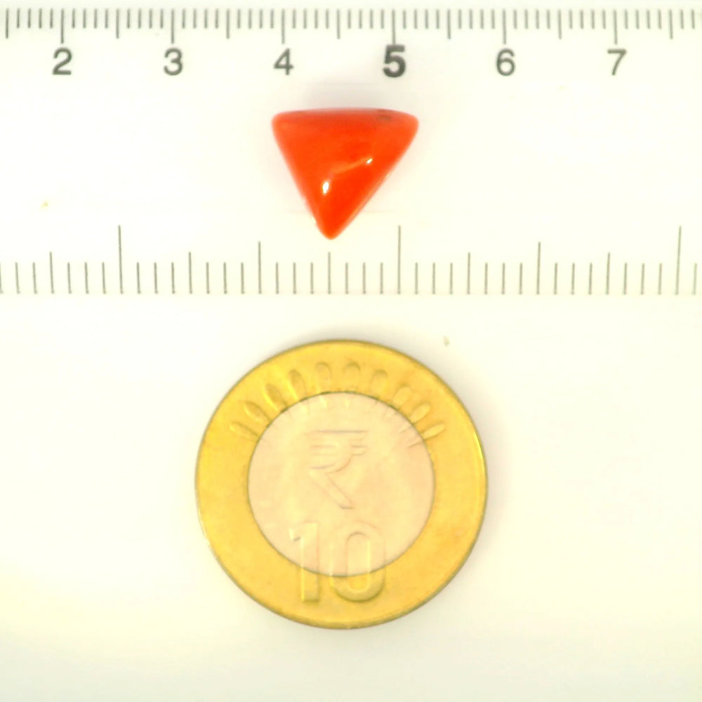 ITLGR_121403_SCALE.webp