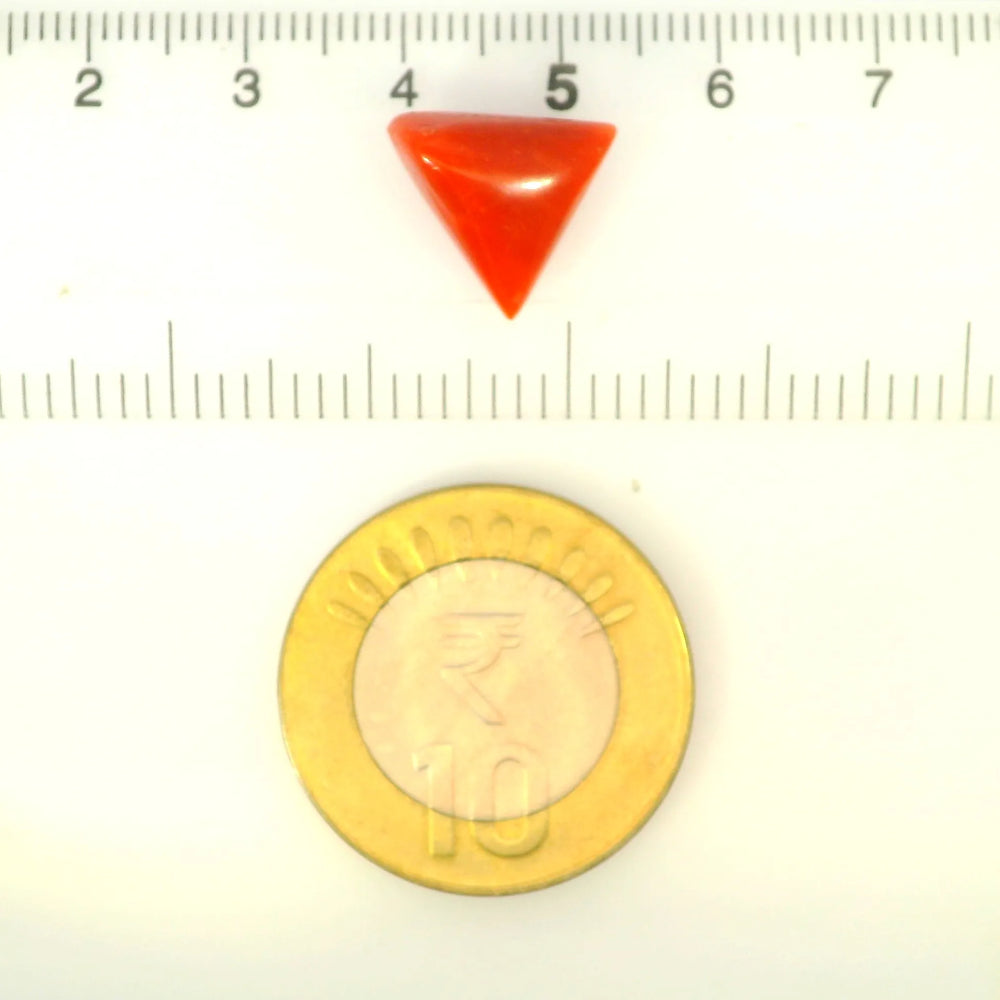 ITLGR_121404_SCALE.webp