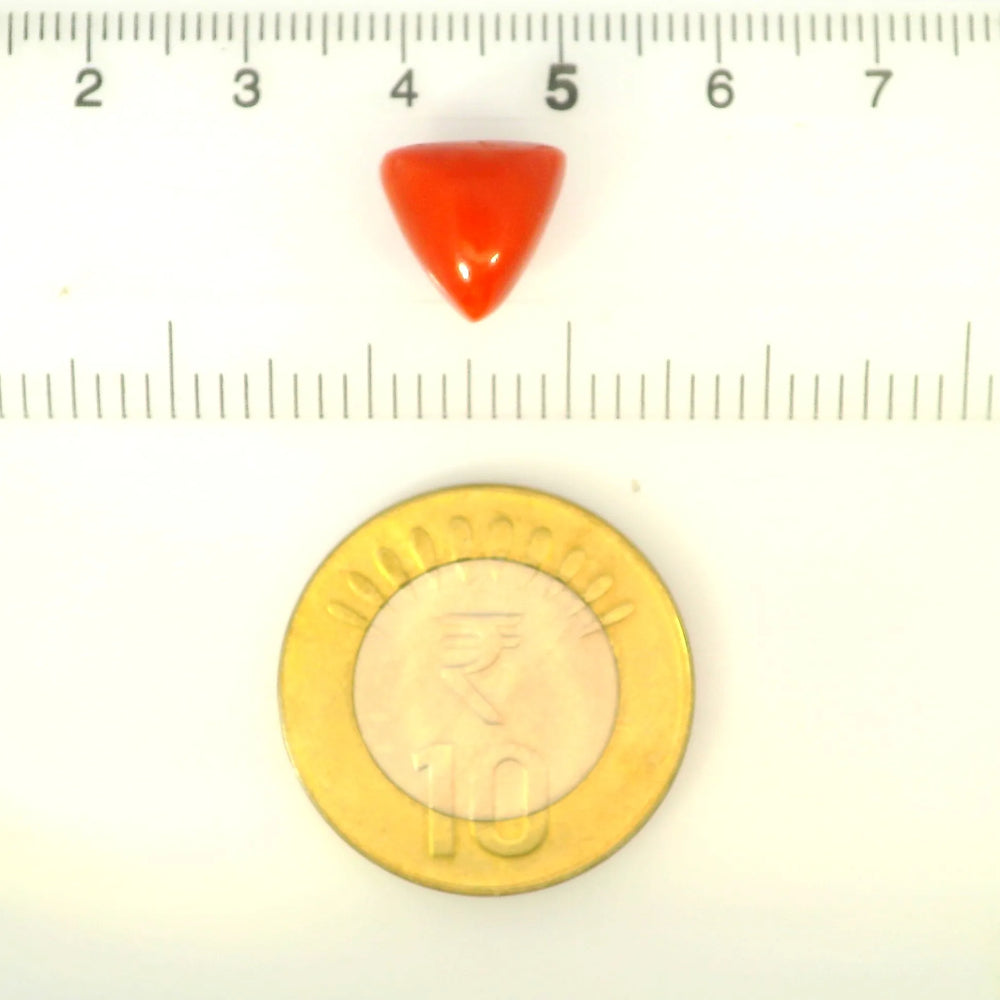 ITLGR_121406_SCALE.webp