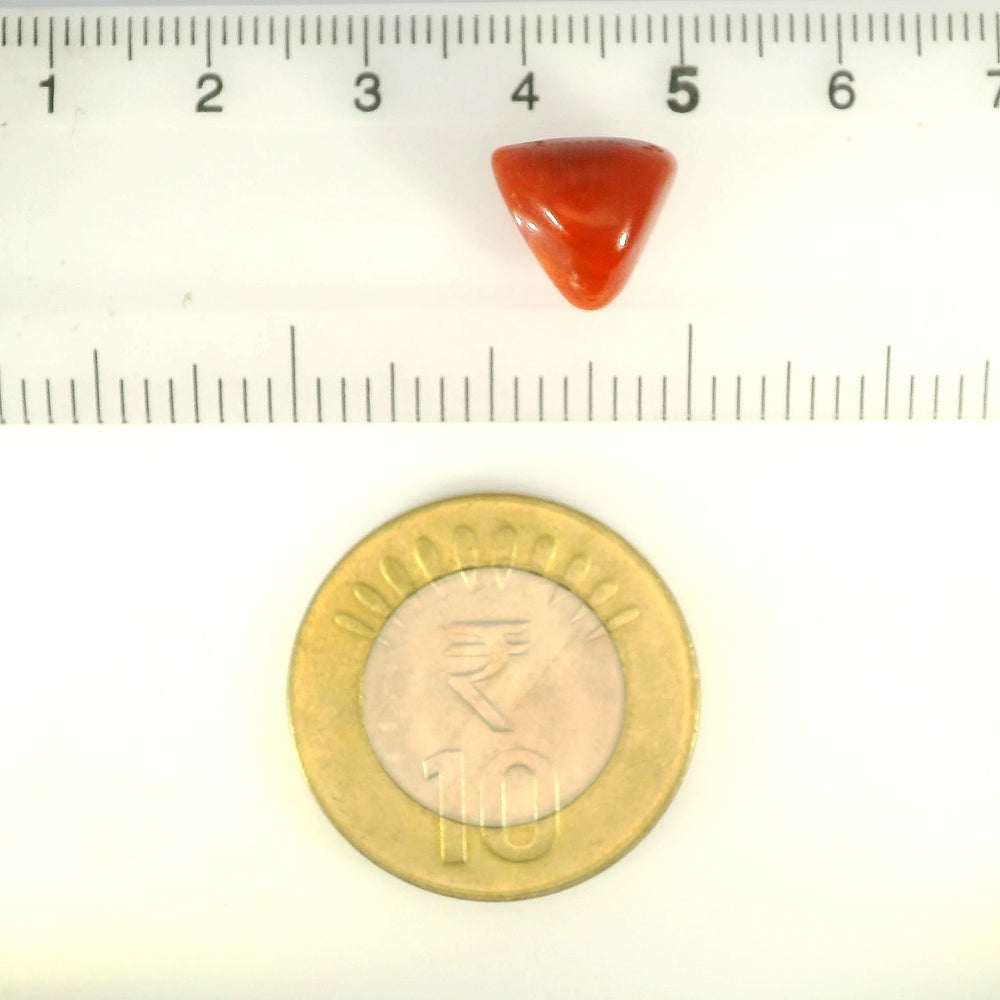 ITLGR_121411_SCALE.webp
