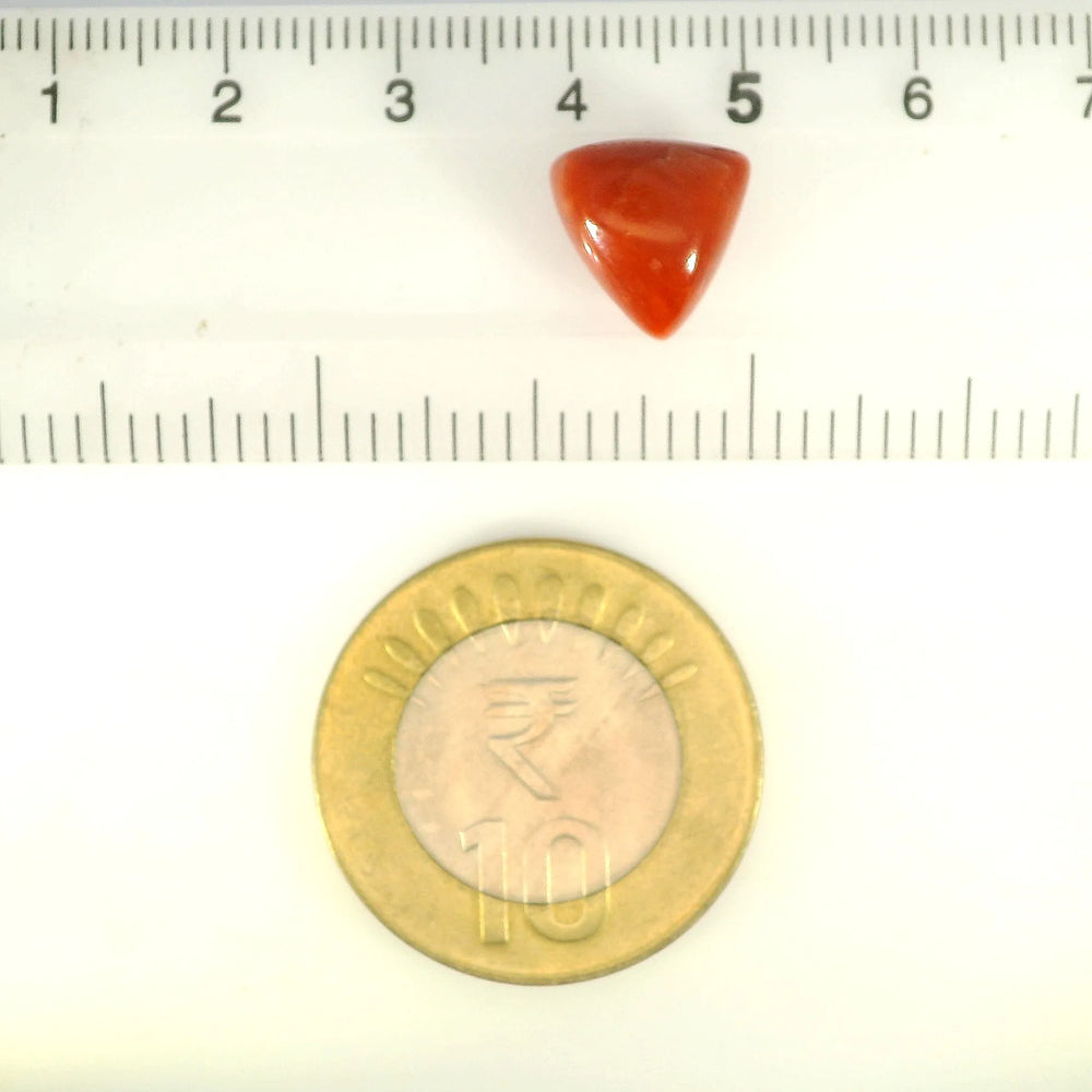 ITLGR_121412_SCALE.webp