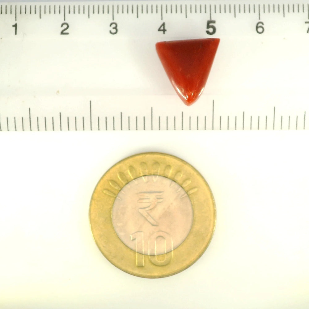 ITLGR_121420_SCALE.webp