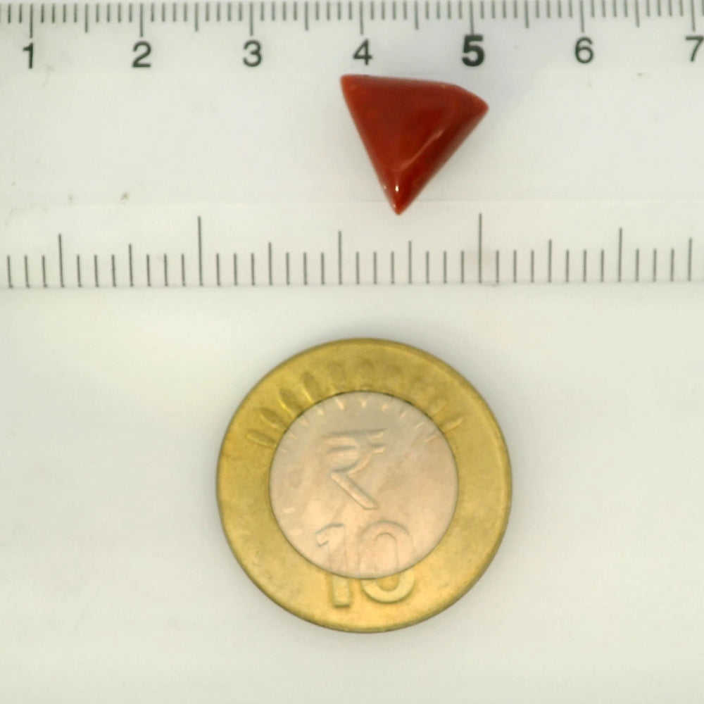 ITLGR_121423_SCALE.webp