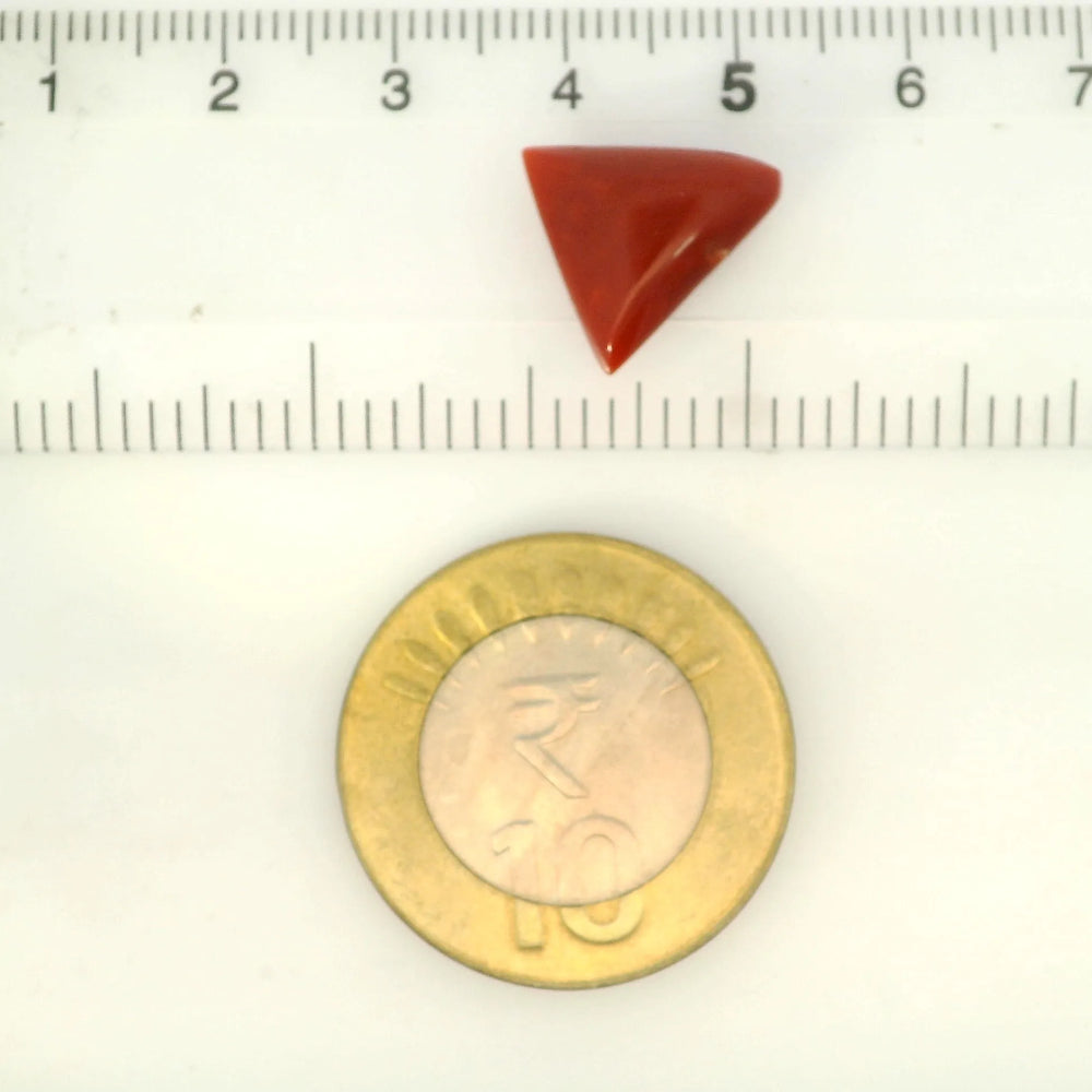 ITLGR_121425_SCALE.webp