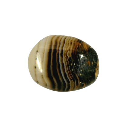 Indian Agate 7.16 Carat / 7.96 Ratti, Unheated and Untreated – No indications of treatment observed – front view