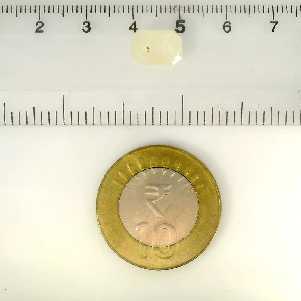 ITLGR_121637_SCALE.webp