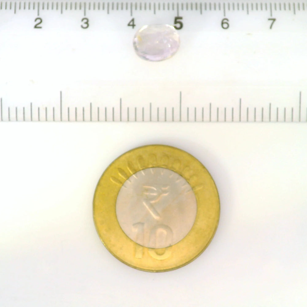 ITLGR_121672_SCALE.webp