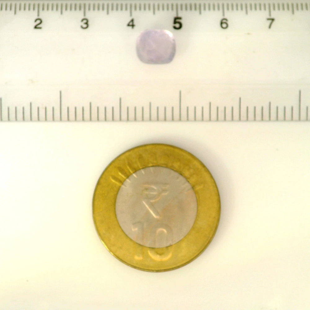 ITLGR_121677_SCALE.webp