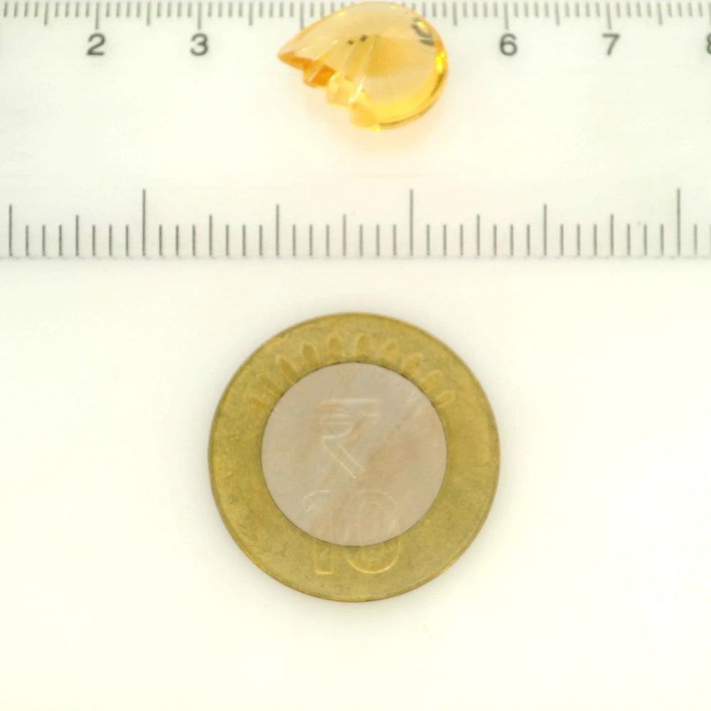 ITLGR_121759_SCALE.webp