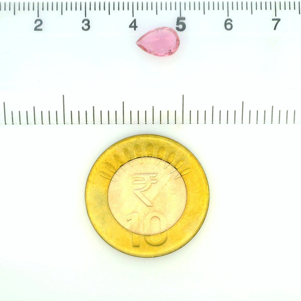 ITLGR_121839_SCALE.webp