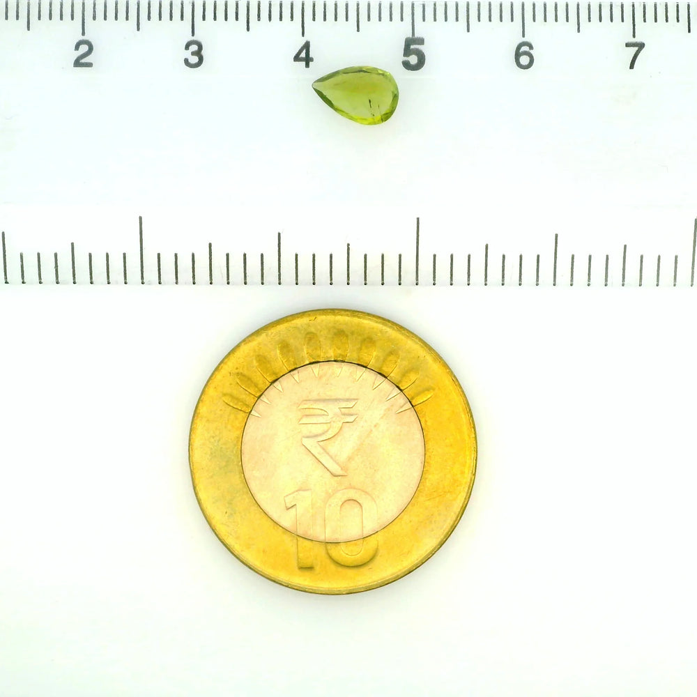 ITLGR_121871_SCALE.webp