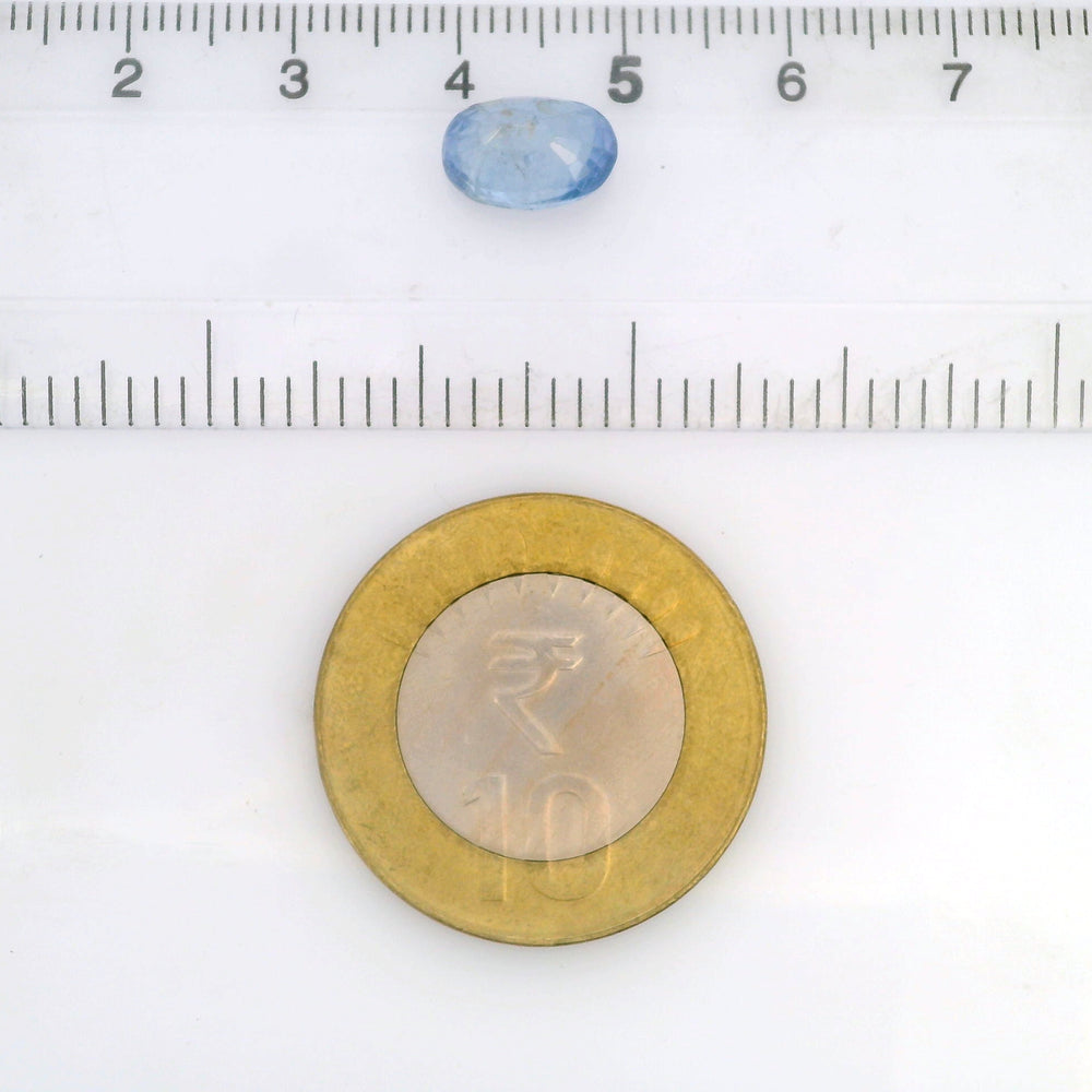 ITLGR_122099_SCALE.jpg