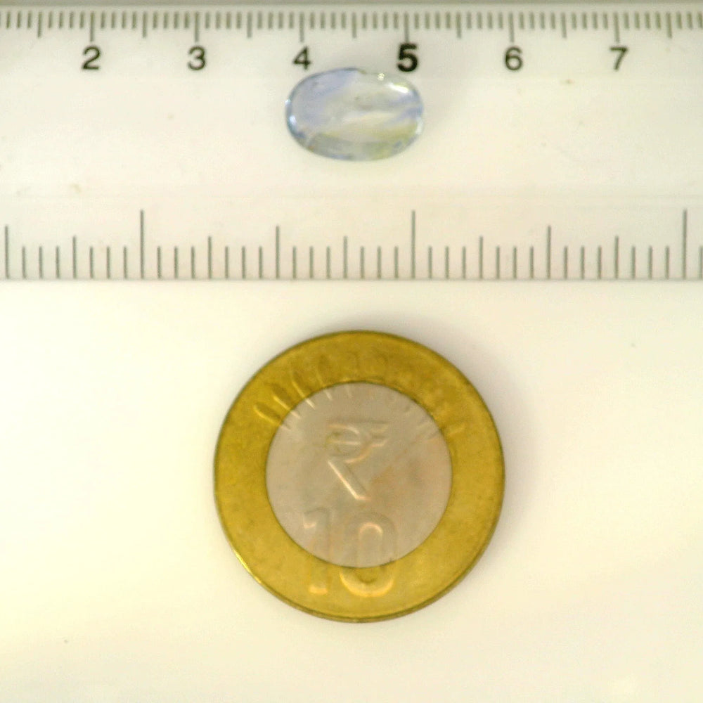 ITLGR_122111_SCALE.webp