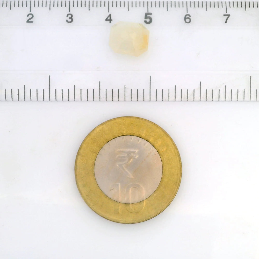 ITLGR_127766_SCALE.webp
