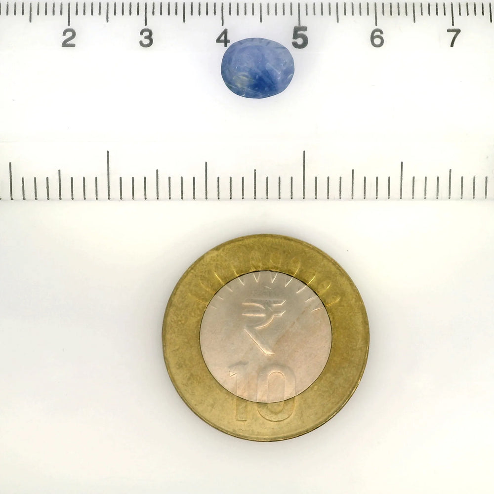 ITLGR_127833_SCALE.webp