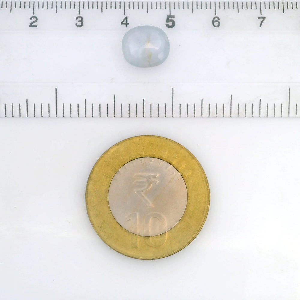 ITLGR_127910_SCALE.webp