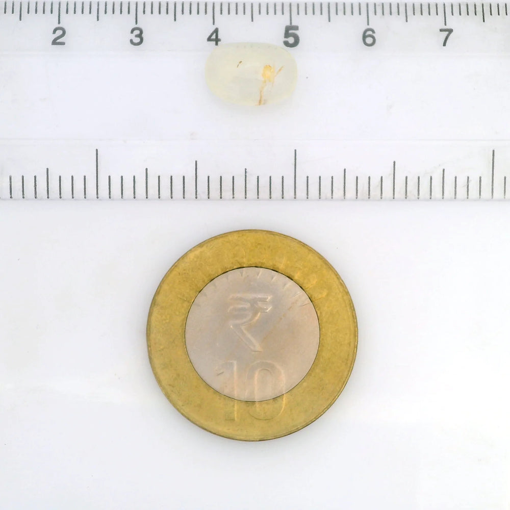 ITLGR_127981_SCALE.webp