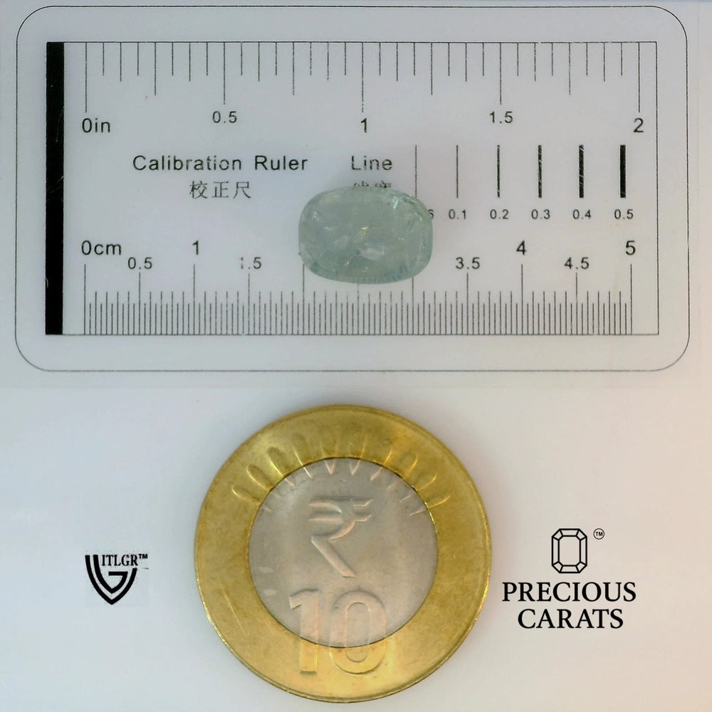 ITLGR_98995_SCALE.webp