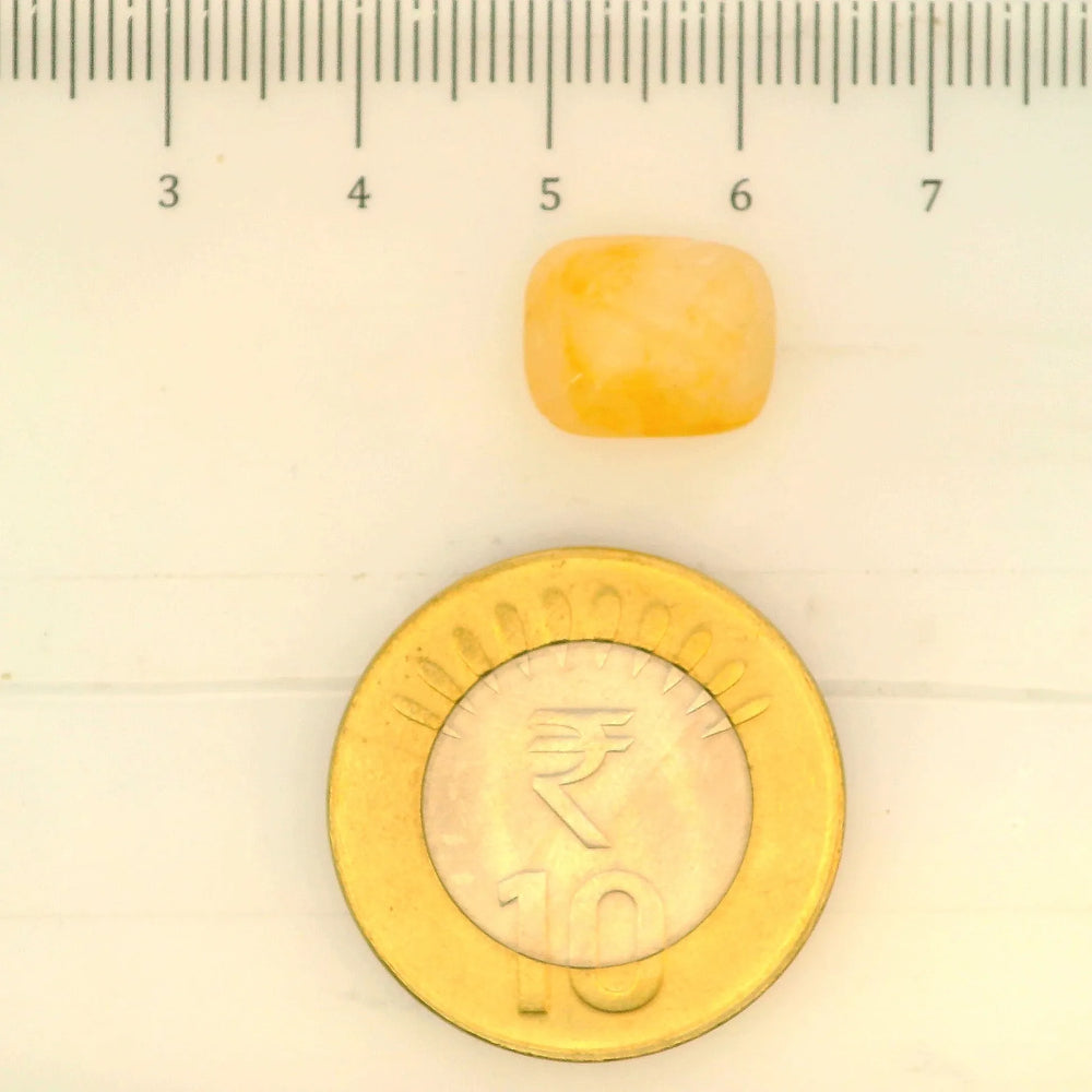 ITLGR_99066_SCALE.webp