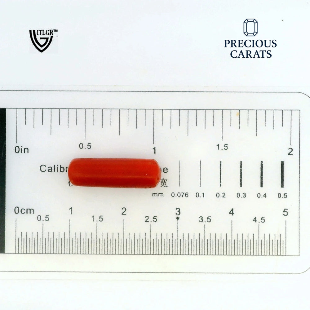 ITLGR_99866_SCALE.webp