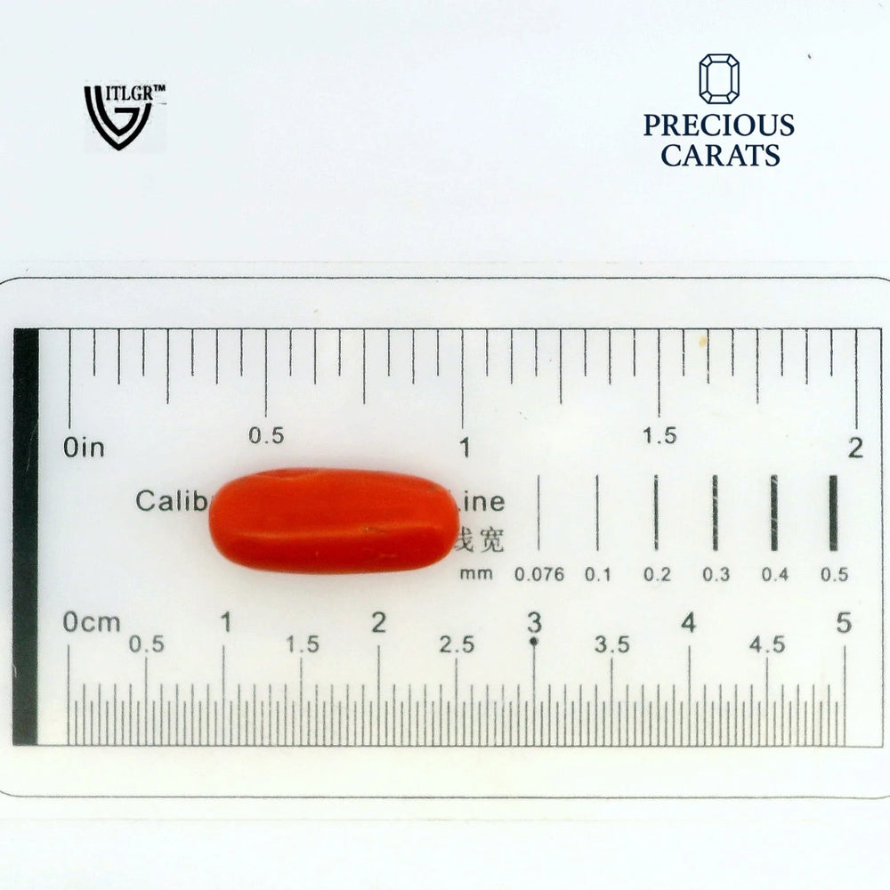 ITLGR_99867_SCALE.webp