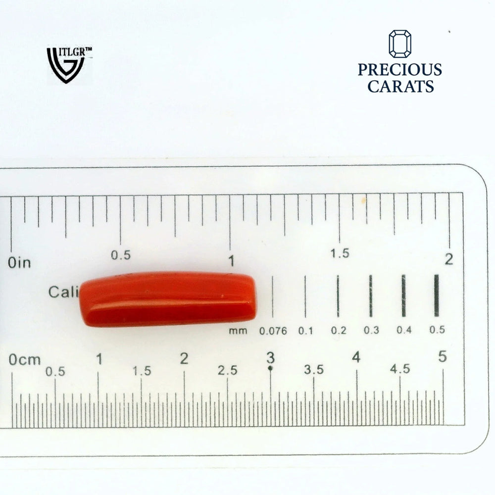 ITLGR_99873_SCALE.webp
