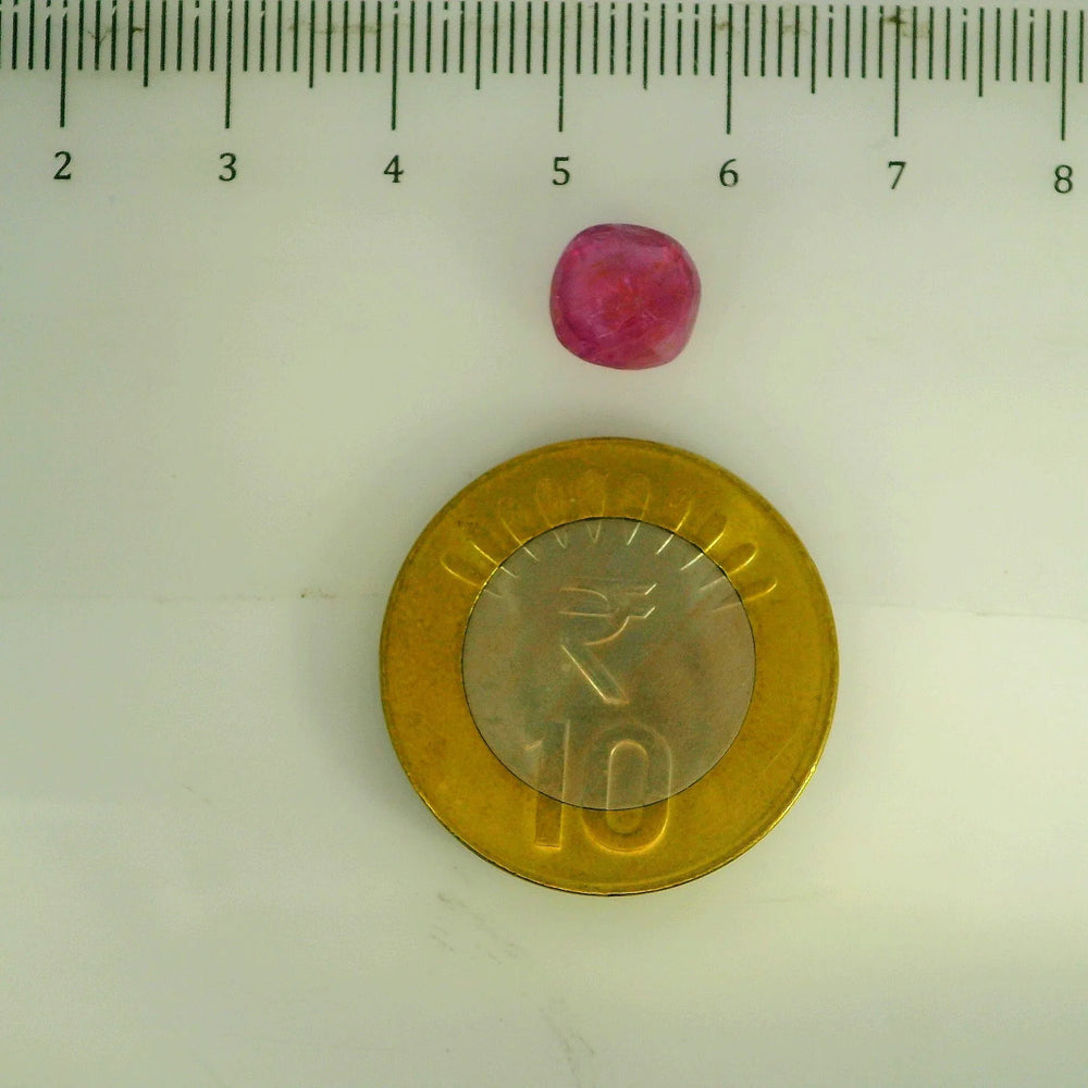 GFCO_39059_3_SCALE.webp